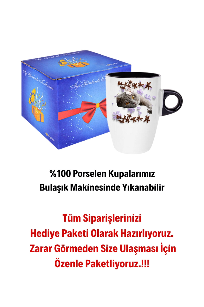 Sevimli Kedi Baskılı Kupa Bardak Porselen Latte Filtre Kahve Fincanı